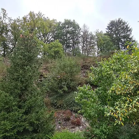 Clos Saint-hubert